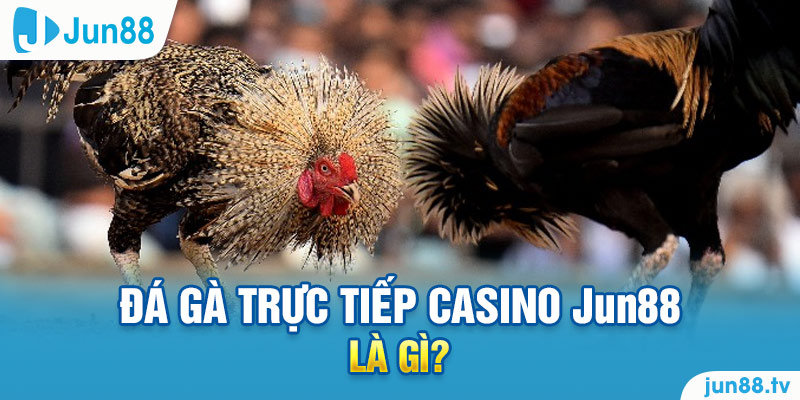 Đá gà trực tiếp casino Jun88 là gì? 